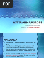 Water and Fluorosis