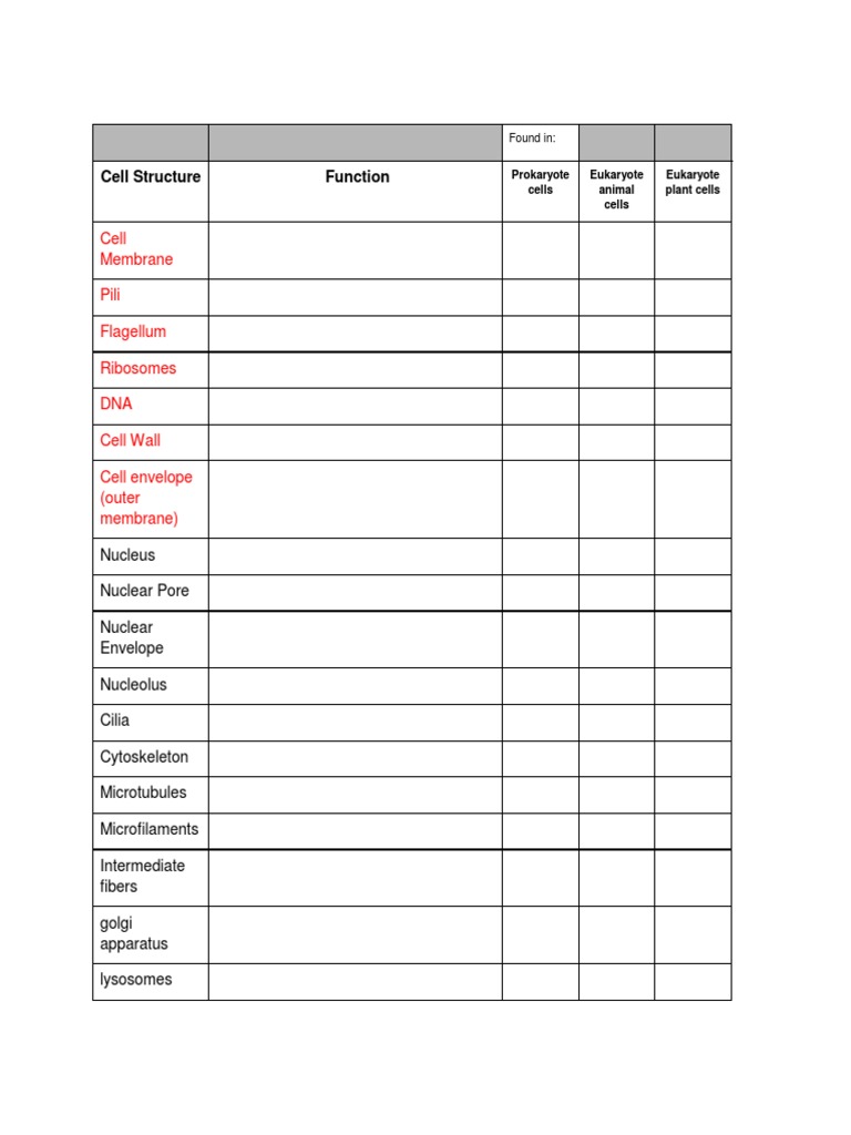 Cell Structures and Functions Overview | PDF
