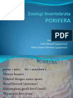 Kel. 2 Porifera