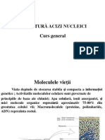 Structura Acizi Nucleici - Curs General.ppt