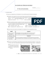 8 Ano Prova Global PDF