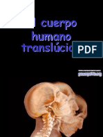 Cuerpo-Humano Pps