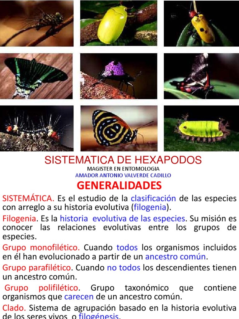 _5.Sistematica.pdf | Taxonomía (biología) | Insectos