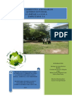 PROYECTO DE AULA  Etilvia Agricoloa grupo 2.docx