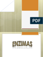 Enzimas