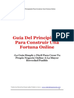 Guia Del Principiante PDF
