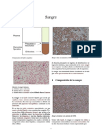 Sangre.pdf