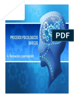 Sensacion y Percepcion PDF