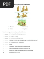 Worksheets Ecosystem Worksheet ecosystems worksheets ecosystem soil worksheet