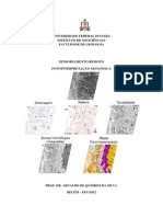 Fotointerpretação Geológica: Análise Lógica de Imagens