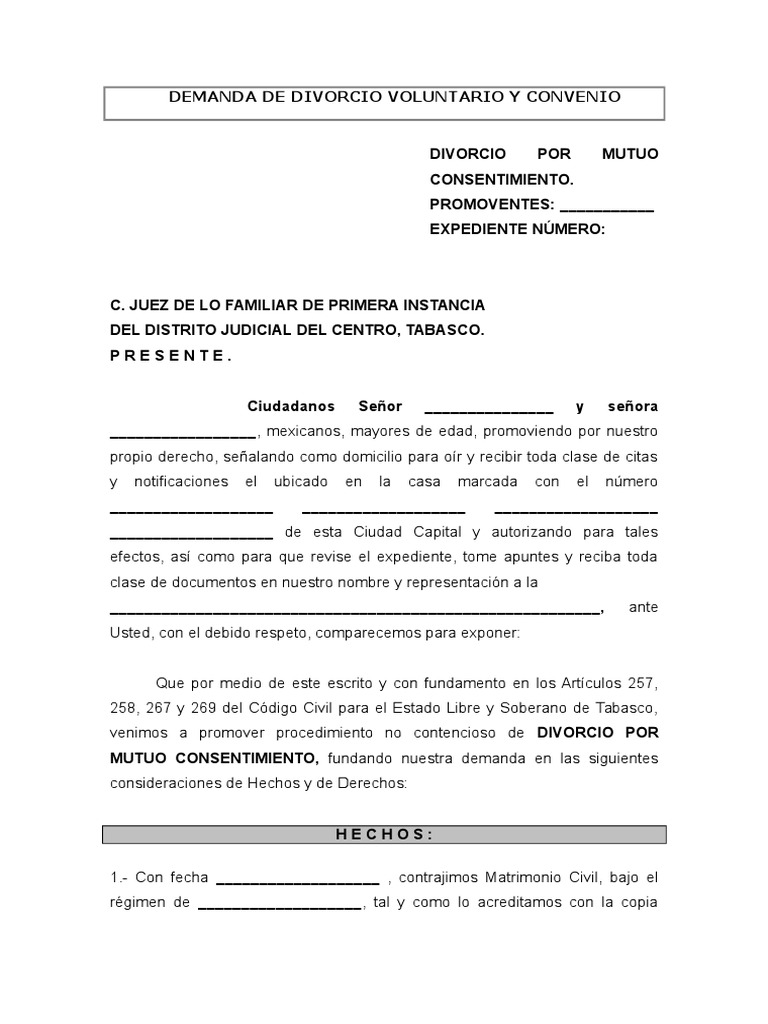 DEMANDA DE DIVORCIO VOLUNTARIO Y CONVENIO.doc | Gobierno | Política