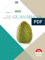 05_ PERFIL COMERCIAL DE GUANABANA-OK.pdf