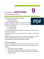 sistema cardiovascular.pdf