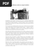 Os problemas sociais no campo brasileiro.docx