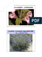 Uzgoj Biljaka Iz Porodice Lamiaceae (Lavanda, Kadulja, Cubar, Timijan) PDF