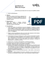 Experiência A1 - Equilíbrio PDF