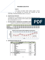 Resumen Ejecutivo de Un Pip de Riego