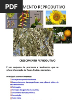 CRESCIMENTO+REPRODUTIVO.ppt