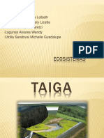 Presentacion Taiga