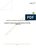 Auditor o Auditado ¡Ésa Es La Cuestión!. 2013 PDF