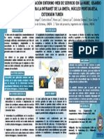 Poster ELECTRONICO PDF