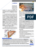 cetosis porcina.pdf