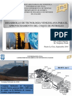 1.- Desarrollo de Tecnología Venezolana para el Aprovechamiento del Coque de Petróleo.pdf