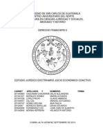 Estudio Jurídico Doctrinario Económico Coactivo