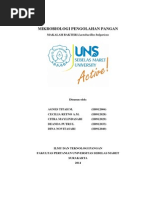 Download makalah bakteri asam laktatdocx by Agnes Titah SN243767933 doc pdf