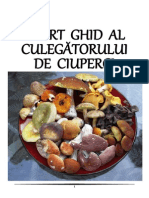 Ghid Ciuperci-SCURT 