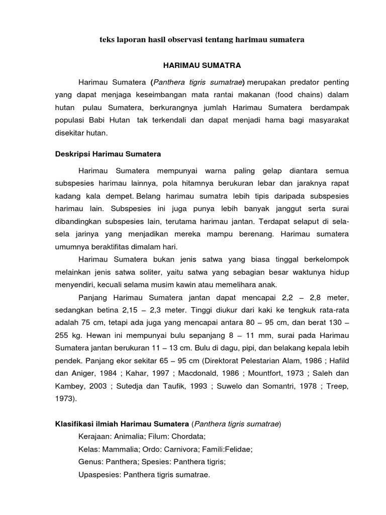 Contoh Laporan Hasil Observasi Dalam Bahasa Inggris 