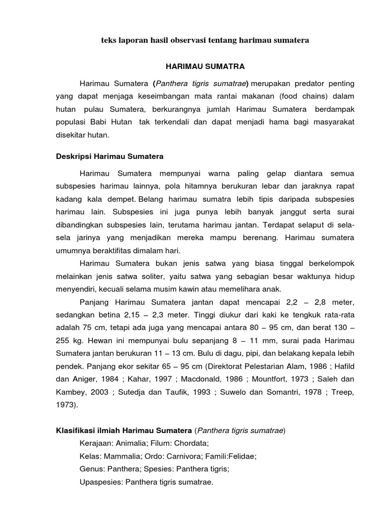 Contoh Teks Laporan Observasi Tentang Hewan Kelinci Contoh Teks Laporan Observasi Tentang Hewan Kelinci