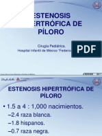 7 Ploro 120402124150 Phpapp01