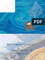 How Companies Grow? Habib Group of Companies