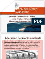 Alteracion Del Medio Ambiente