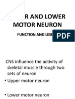 Upper and Lower Motor Neuron