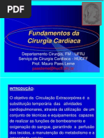 AULA M PAES LEME FUNDAMENTOS C CARD.pdf