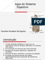 13Fisiologia.ppt