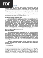 Download KACANG TANAH by WindhuDwipayana SN243819298 doc pdf