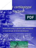 Pestii Cartilaginosi - Sociu Mirela