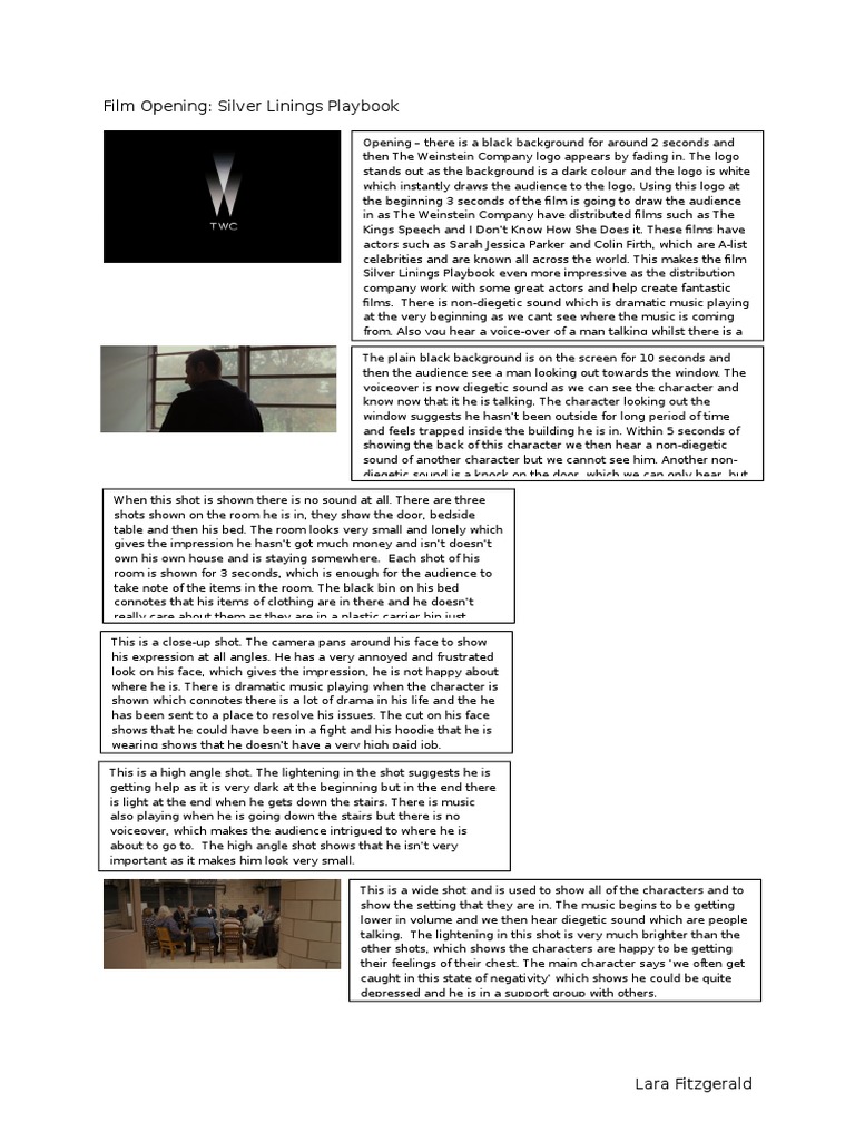 Silver Linings Playbook | PDF | Leisure
