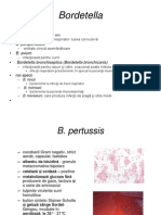 Curs_4_bact_med.ppt