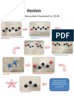 Glycolysis