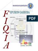 EFUSION GASEOSA.pdf