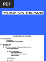 Inflammation Specifique PDF