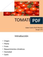 Expo Tomate