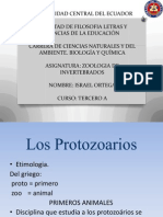 Protozoarios presentacion