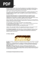 Papel e Celulose.docx