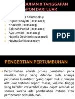 Pertumbuhan & Tanggapan Respon Dari Luar