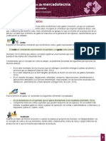 Costo Gasto e Inversion PDF